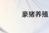豪猪养殖 豪猪养殖介绍