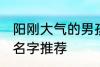 阳刚大气的男孩名字 阳刚大气的男孩名字推荐