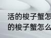 活的梭子蟹怎么蒸或者煮详细一点 活的梭子蟹怎么蒸
