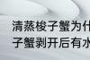 清蒸梭子蟹为什么剥开后有水 清蒸梭子蟹剥开后有水原因