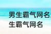 男生霸气网名2022最新版的 超酷男生霸气网名