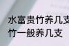 水富贵竹养几支最旺事业运 水养富贵竹一般养几支