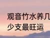 观音竹水养几支最旺运 观音竹水养多少支最旺运