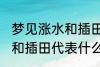 梦见涨水和插田有什么兆头 梦见涨水和插田代表什么