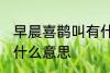早晨喜鹊叫有什么兆头 早晨喜鹊叫是什么意思