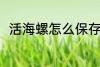 活海螺怎么保存 活海螺的保存方法