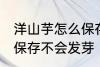 洋山芋怎么保存不会发芽 洋山芋如何保存不会发芽