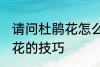请问杜鹃花怎么养不爱死啊 养殖杜鹃花的技巧