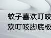 蚊子喜欢叮咬脚底板怎么回事 蚊子喜欢叮咬脚底板原因