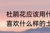 杜鹃花应该用什么样的土来养 杜鹃花喜欢什么样的土壤
