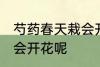芍药春天栽会开花吗 芍药春天栽会不会开花呢