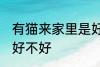 有猫来家里是好还是不好 有猫来家里好不好