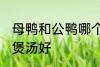 母鸭和公鸭哪个煲汤好 母鸭和公鸭谁煲汤好
