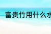 富贵竹用什么水养 富贵竹如何养殖