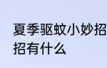 夏季驱蚊小妙招有哪些 夏季驱蚊小妙招有什么