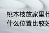 桃木枝放家里什么位置 桃木枝放家里什么位置比较好
