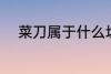 菜刀属于什么垃圾 菜刀所属垃圾