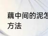 藕中间的泥怎么去除 藕中间的泥去除方法