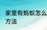 家里有蚂蚁怎么消灭 家里蚂蚁多消灭方法