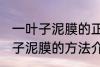 一叶子泥膜的正确使用方法 使用一叶子泥膜的方法介绍