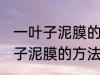 一叶子泥膜的正确使用方法 使用一叶子泥膜的方法介绍
