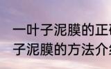一叶子泥膜的正确使用方法 使用一叶子泥膜的方法介绍