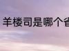 羊楼司是哪个省 羊楼司是湖南省对吗
