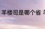 羊楼司是哪个省 羊楼司是湖南省对吗