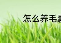 怎么养毛囊 养毛囊的方法