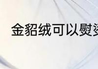 金貂绒可以熨烫吗 金貂绒能熨烫吗