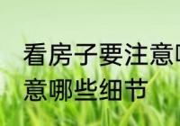 看房子要注意哪些细节 看房子需要注意哪些细节