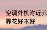 空调外机附近养花好么 空调外机附近养花好不好