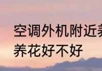 空调外机附近养花好么 空调外机附近养花好不好