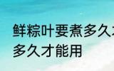 鲜粽叶要煮多久才能用 鲜粽叶需要煮多久才能用