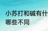 小苏打和碱有什么区别 小苏打和碱有哪些不同