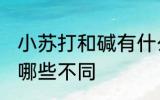小苏打和碱有什么区别 小苏打和碱有哪些不同