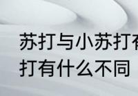 苏打与小苏打有什么区别 苏打和小苏打有什么不同