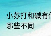 小苏打和碱有什么区别 小苏打和碱有哪些不同