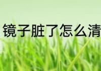 镜子脏了怎么清理 镜子脏了如何清理