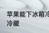 苹果能下冰箱冷藏吗 苹果能不能冰箱冷藏