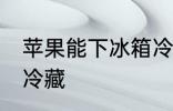 苹果能下冰箱冷藏吗 苹果能不能冰箱冷藏