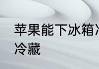 苹果能下冰箱冷藏吗 苹果能不能冰箱冷藏