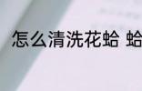 怎么清洗花蛤 蛤蜊怎么清洗才干净