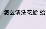 怎么清洗花蛤 蛤蜊怎么清洗才干净
