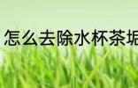 怎么去除水杯茶垢 如何去除水杯茶垢
