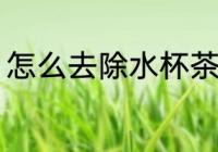 怎么去除水杯茶垢 如何去除水杯茶垢