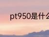 pt950是什么材质 pt950的简介