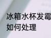 冰箱水杯发霉怎么处理 冰箱水杯发霉如何处理