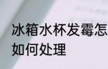 冰箱水杯发霉怎么处理 冰箱水杯发霉如何处理
