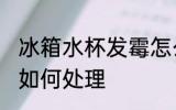 冰箱水杯发霉怎么处理 冰箱水杯发霉如何处理